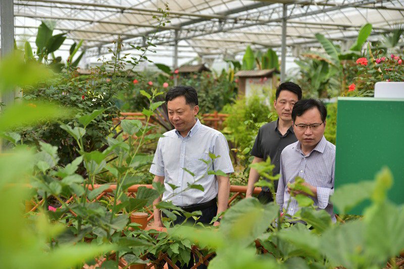 實(shí)地考察創(chuàng)新示范基地